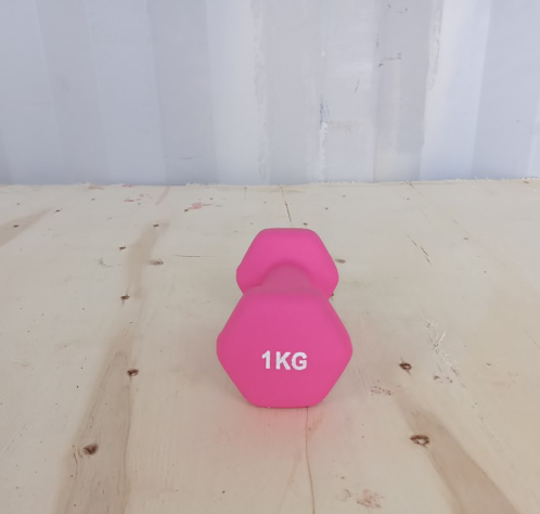 Hex dumbbell made of neoprene and cast iron 1 kg | Hexagonal weight