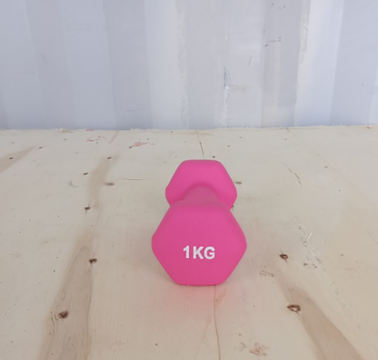 Hex dumbbell made of neoprene and cast iron 1 kg | Hexagonal weight