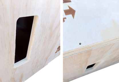 Plyo Box S (30 x 35 x 40 cm) – Idealen za začetnike in eksplozivnost